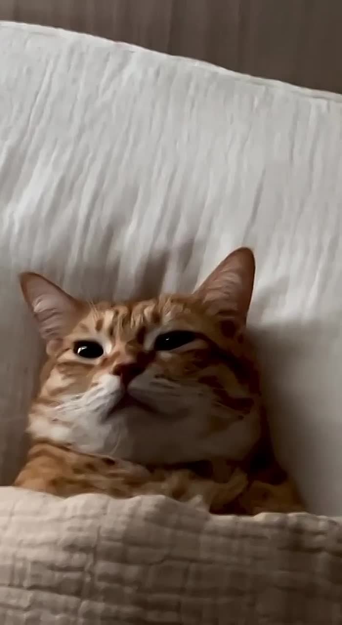 Доброе утро, Одесса!. Сегодня понедельник, 2 марта