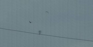 � ������ ���������� ������ �� ���� ��������� �������