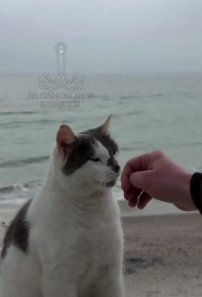 ���� ��, ������-���� ����������