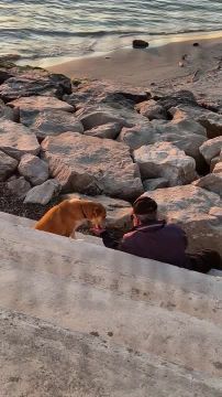 � ������ ������� � ������� �������� ����� ����� ������ ���