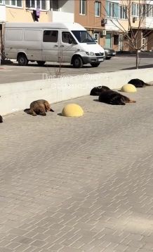 ������ � ������ ������� ������