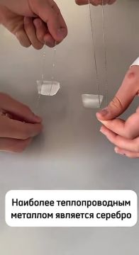 � ���� �������� ������� ������ �������� �������