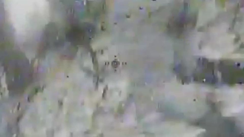 ���� ��������� ������ ���������� ������������ ����� ������ �� �������� ���������� ����� �� �������!