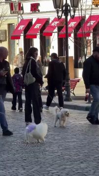 ������-����, ������ ����. � ������ �� ������� �� ������� ����� ����� � ��������� ������: