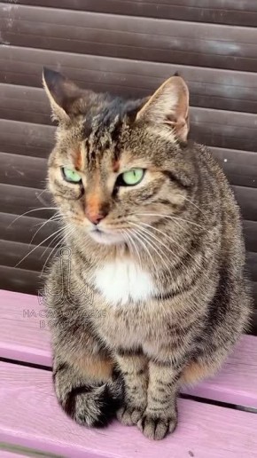 ���� ��, ������-���� ����������