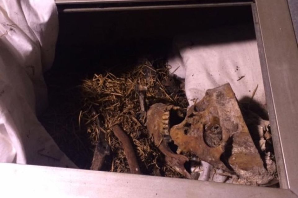 Кости разбиты и разбросаны: под Одессой разгромили саркофаг Григория Котовского