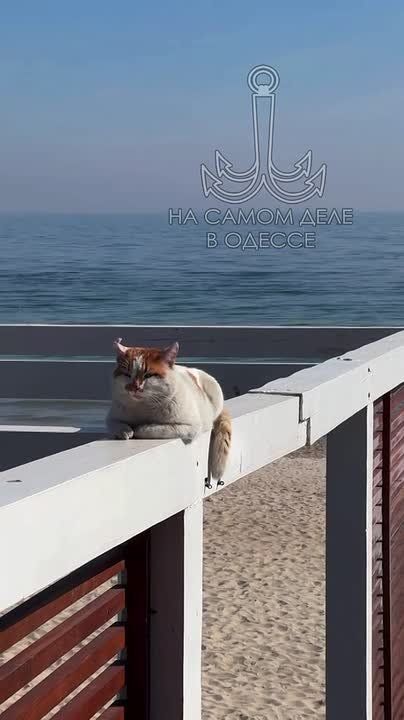 ���� ��, ������-���� ����������