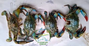 ����� �� ��������� ����������� ������������ ���������!