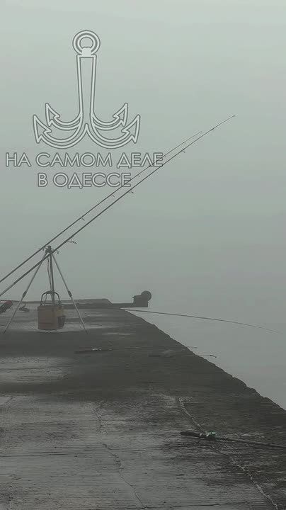 ������-����, ������ ����. ���� � ������ �� ����� ����� ����������� ������� ������������, �� ������� ��������� � ����� �� ����! ������ �� ����� �� 12.03.2026 �������� �������: