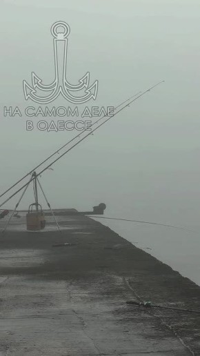 ������-����, ������ ����. ���� � ������ �� ����� ����� ����������� ������� ������������, �� ������� ��������� � ����� �� ����! ������ �� ����� �� 12.03.2026 �������� �������: