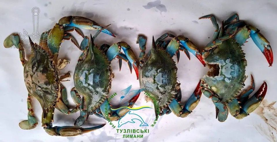 ����� �� ��������� ����������� ������������ ���������!