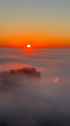 ������ � ������ ���� ������� �������