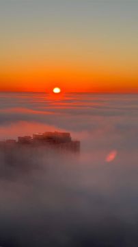 ������ � ������ ���� ������� �������