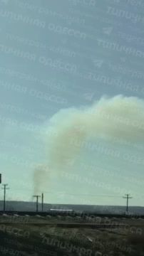 � ������ �������� ������� ������������ ������ ����