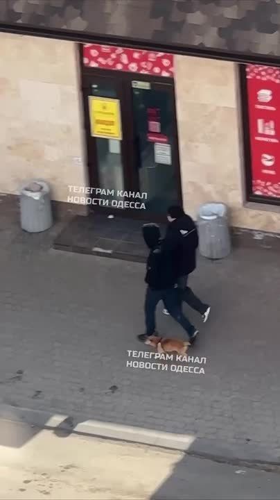 ��������� ����� ����������������� �������������� ������� ������, �� � ���-���-���