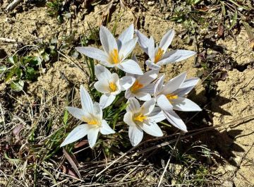 ����� ������ � ������� ������������