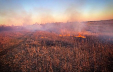 � �������� ������� �������� ���������� ������� ������