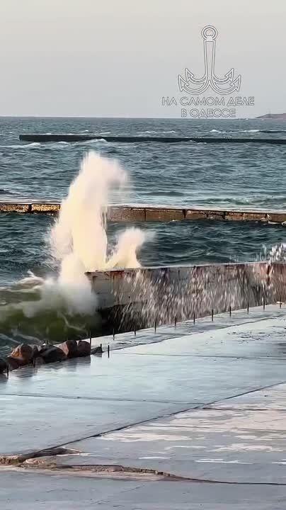 ������-����, ������ ����. ������