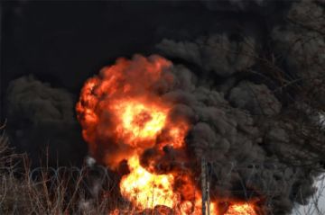 �� �� ������� ��������� ���� �� ���������� ������� � ������� �����