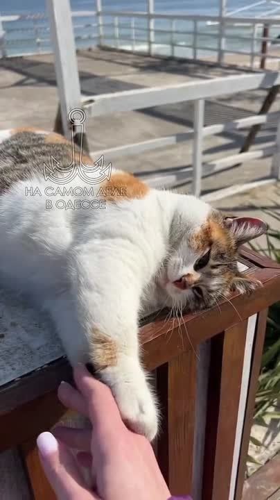 ���� ��, ������-���� ����������