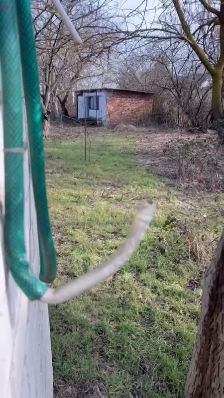 ���������� ��� ��������� � ������� ����, ������ ���� � �������� ������� �����������