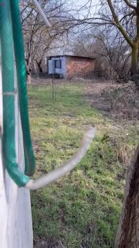 ���������� ��� ��������� � ������� ����, ������ ���� � �������� ������� �����������