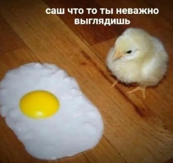 Как выбрать хорошие куриные яйца в магазине?