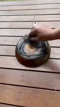 ���������� �������, ��� ����� �������� ���������