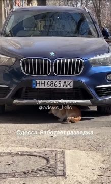 � ������ ����� ������� ����������� ���������