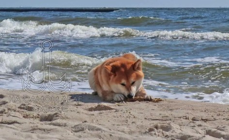 ������������ ������ 18 ����� 2026 ���� � ������ � ������� �����������: