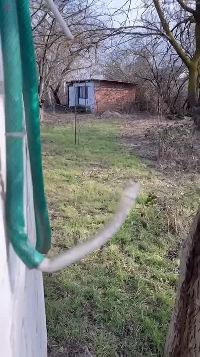 � �������� ������� ������������ ����