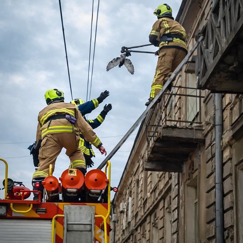 � ������ ������ ������, ����������� � ��������