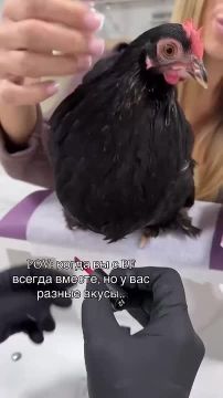 ��������� �������� ���� ������ �� �������