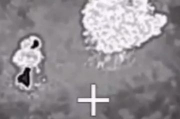 ��� ���� ����� ������: ������ ���� ���� � ���������� ���������� �� �������