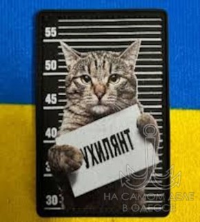 �������� ������� ������� ���������� ����������, ��� ���������� ����� ���������� ������, ��� ����� � �����������