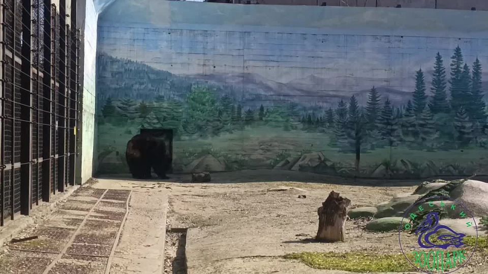 ����� ���������� ���������: � �������� �������� ���������� ��������� ������