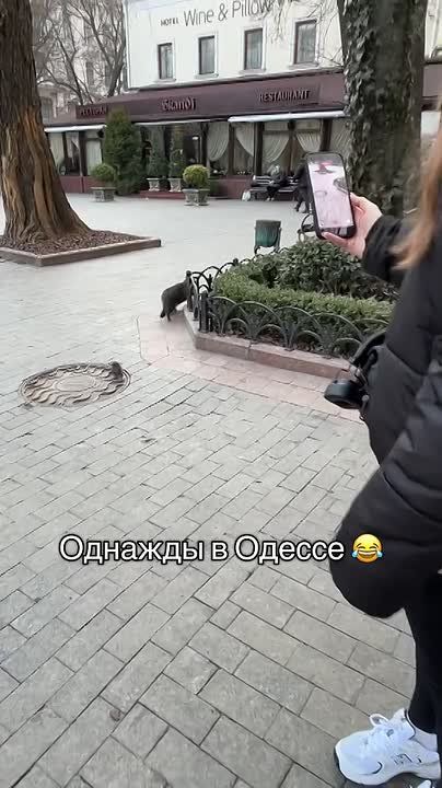 � �������� ������� ������� ����� ������ �����