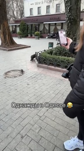 В Одесском Горсаду местная крыса держит район