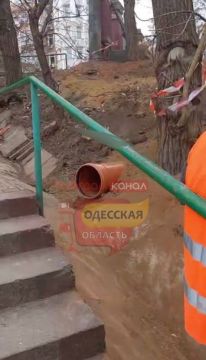 � ������ ������ ����� ���� �������� ����� � ����