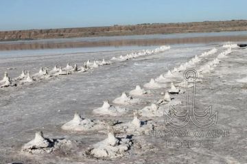 ������� �� ���� ����������� �����: ���� ��������� � 5 ��� ������ �����