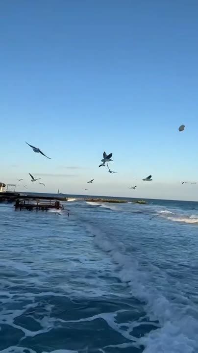 ������ ����, ������. �����������: ���� ��������� +13��, ��������� ����� ��� +10��