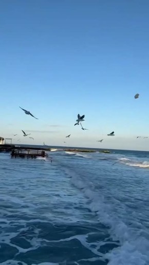 ������ ����, ������. �����������: ���� ��������� +13��, ��������� ����� ��� +10��