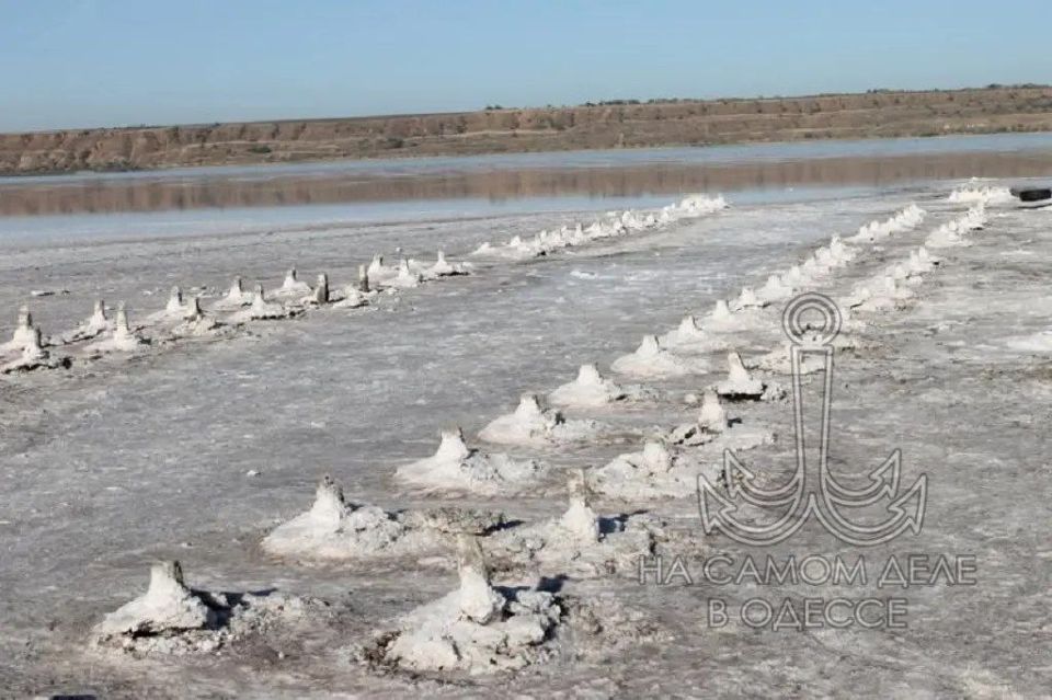 ������� �� ���� ����������� �����: ���� ��������� � 5 ��� ������ �����