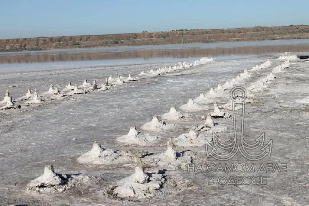 Паводок не спас Куяльницкий лиман: воды оказалось в 5 раз меньше нормы