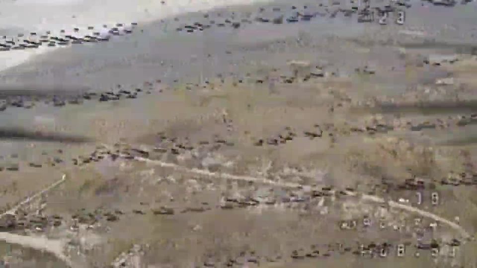 ���� ��������� ������ ���������� ������������ ����� ������ �� �������� ���������� ����� �� �������!