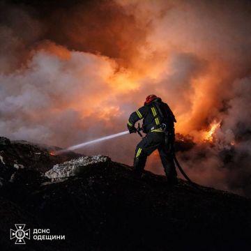 ���� ����: �� �� ����� ������� ����� �� �������� � 6 �������� �������: