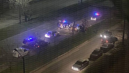 � ������ ����������� �����������, ���������� ���������. �����������