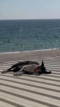 ���� ��, ������-���� ����������