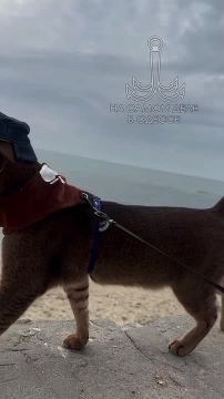 Таки да, Одесса-мама проснулась