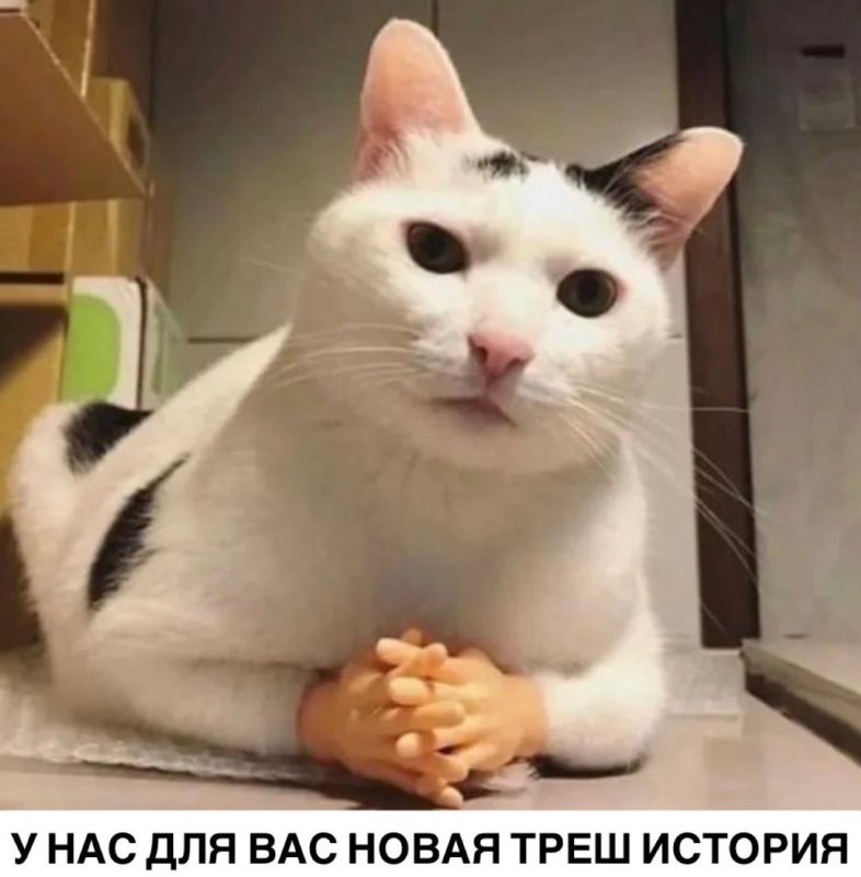 � ���� �������� ��������������� ������ � �������� ���������� 35-������ ������� � ������� �������� �������� ������� ������